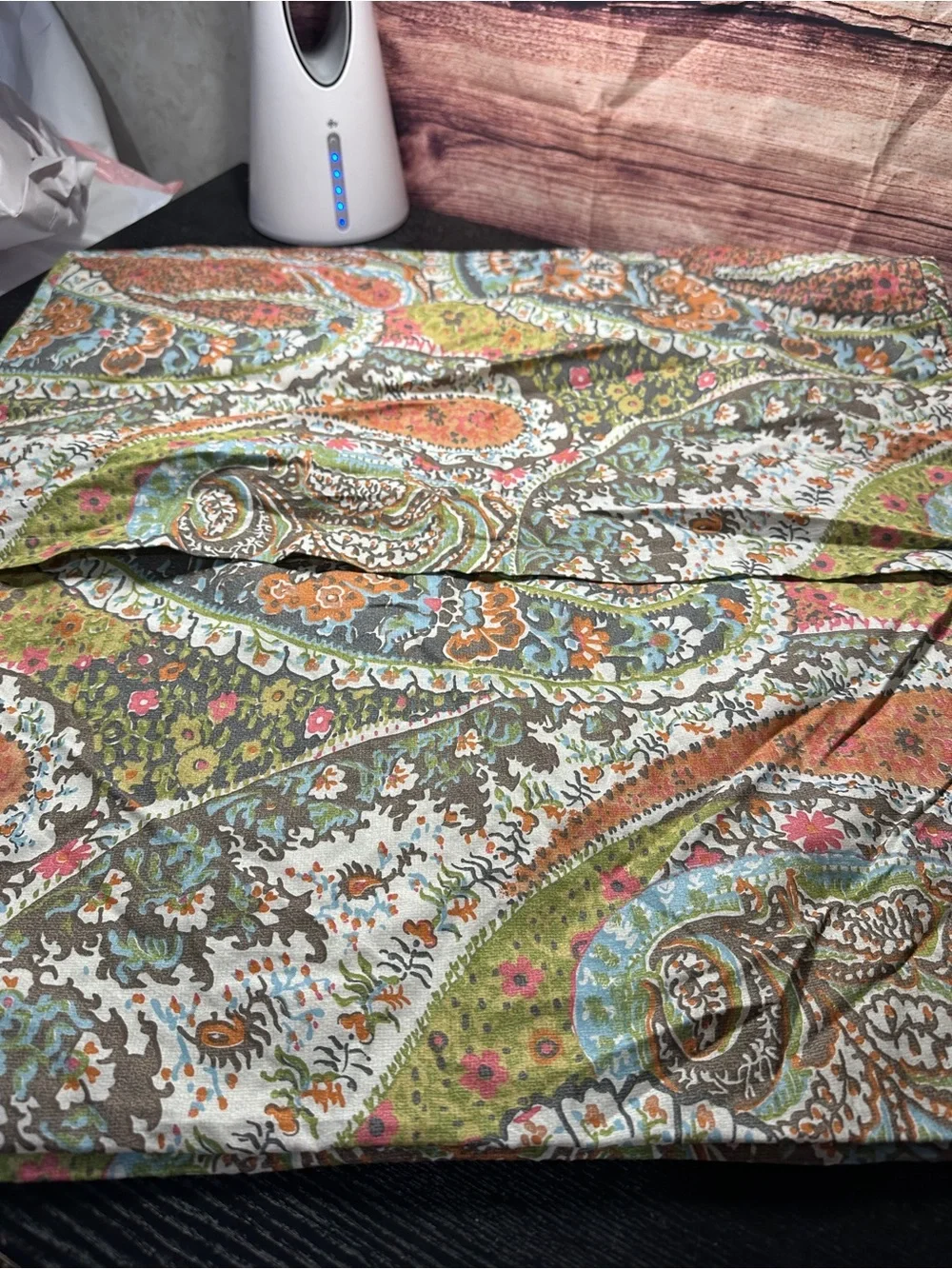 Pottery Barn Zia paisley ikat quilted Euro pillow cover Sham NWOT